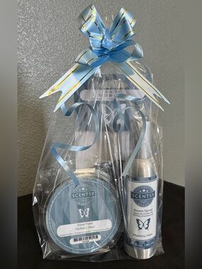 Scentsy Car Freshener Sets